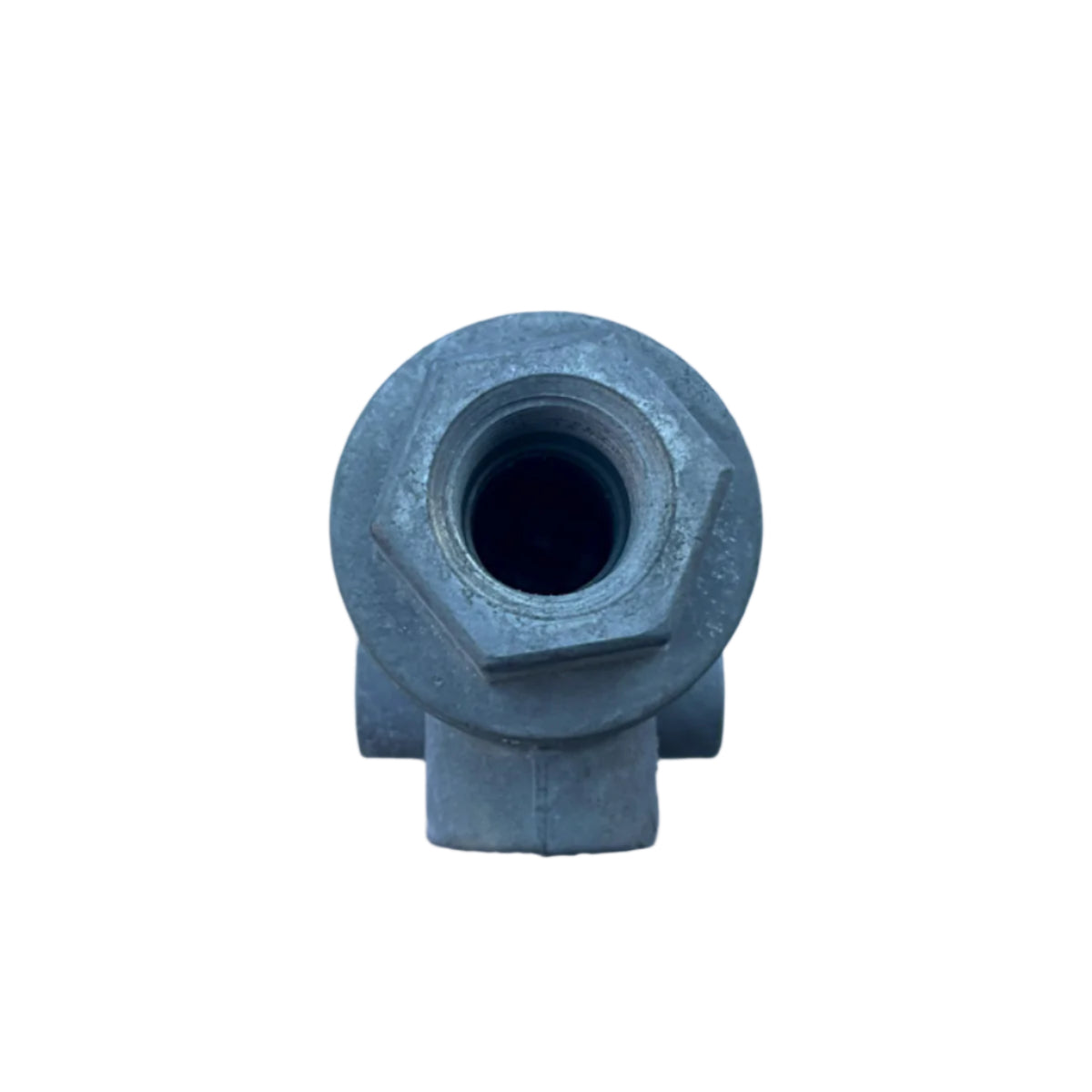 Two Way Check Valve