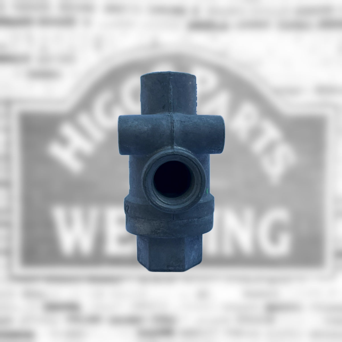 Two Way Check Valve