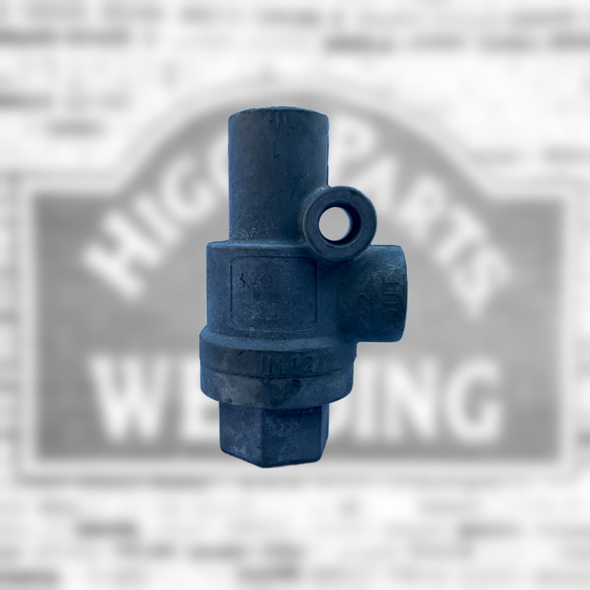 Two Way Check Valve